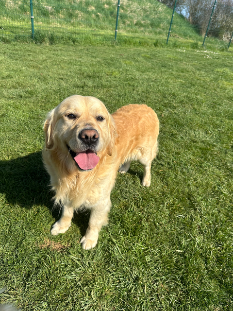 Saga Du Ruisseau De La Groseille