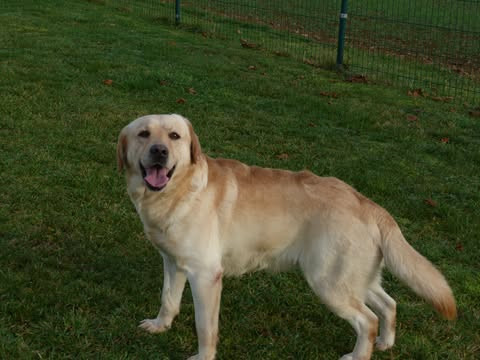 Tabasco des graffitis de la lauzerie